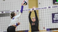 Girls volleyball: Multi-faceted attack springboards Monroe past Hillsborough