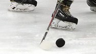 Boys ice hockey: No. 4 Bergen Catholic, No. 5 Princeton Day finish tied