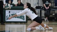 Girls volleyball: Super Essex Conference stat leaders, September 19