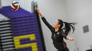 Girls volleyball: 2022 All-Skyland Conference teams