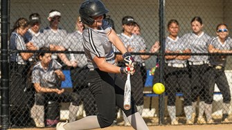 Softball sectional semifinal previews and predictions for all 40 games
