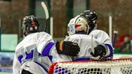 Boys ice hockey: No. 10 Rumson-Fair Haven blanks Summit