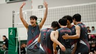 Boys volleyball: No. 5 Fair Lawn comes back, bests Vernon in three sets in quarterfinals