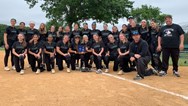 Mount leans on angry pitching to lift Livingston softball to 1st sectional title since ‘16