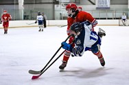 Boys Ice Hockey Photos: Fair Lawn-Bergenfield-Dumont at Northern Valley, January 28, 2023