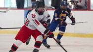 Ice Hockey: NJIIHL stat leaders for January 11