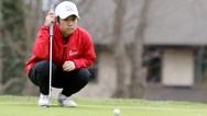 Girls golf: Lenape takes Burlington County Open, Tolentino wins individual