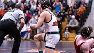 Wrestling: NJIC All-Meadowlands Division honors, 2023