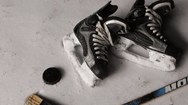 Boys ice hockey: Livingston shuts out No. 20 Summit