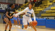 Girls basketball: Fedd-Robinson stars as Newark Central ousts Livingston